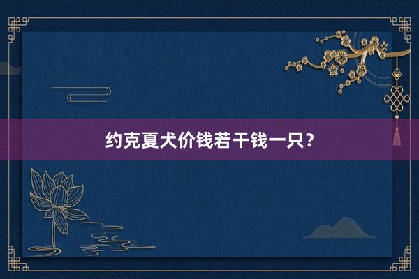 约克夏犬价钱若干钱一只？