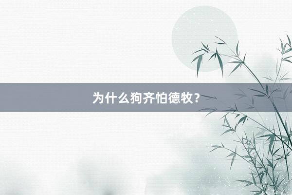 为什么狗齐怕德牧？